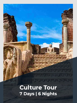 culture tour