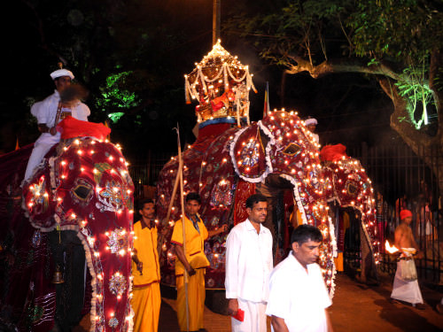 dscn5925 e13815853151461