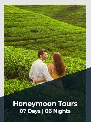honeymoon tours